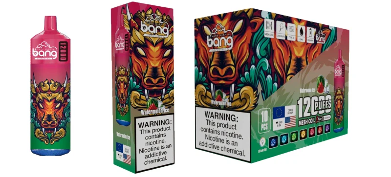 Bang 12000 Puffs Wiederaufladbares Einweg Kit 10 Stück/Packung - Image 14