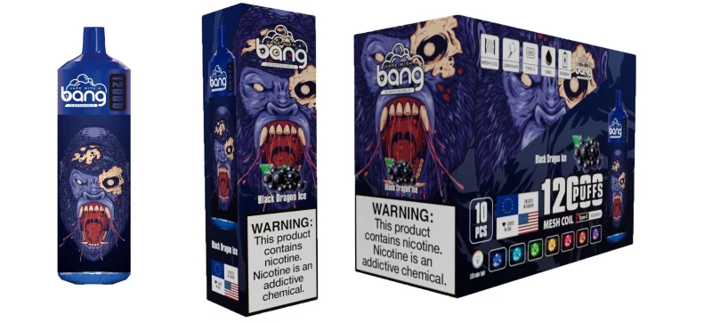 Bang 12000 Puffs Wiederaufladbares Einweg Kit 10 Stück/Packung - Image 4
