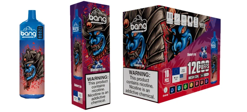 Bang 12000 Puffs Wiederaufladbares Einweg Kit 10 Stück/Packung - Image 6