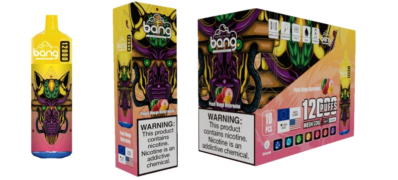 Bang 12000 Puffs Wiederaufladbares Einweg Kit 10 Stück/Packung - Image 9
