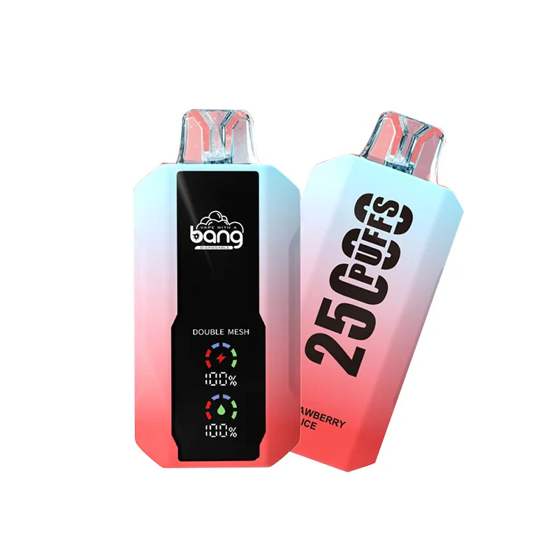 Bang 25000 Puffs Wiederaufladbares Einweg Kit (LED Display) - Image 10