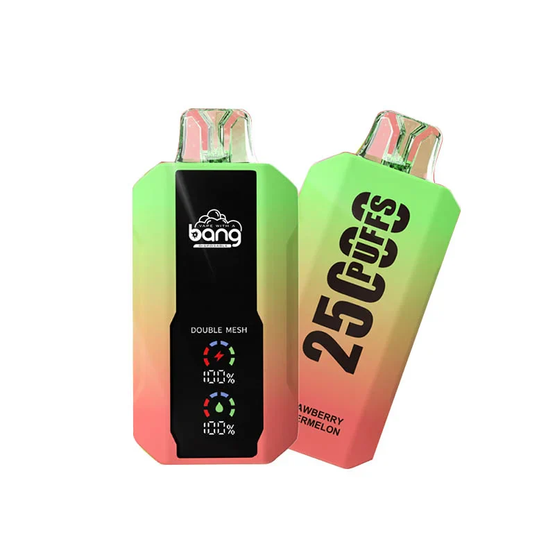 Bang 25000 Puffs Wiederaufladbares Einweg Kit (LED Display) - Image 12