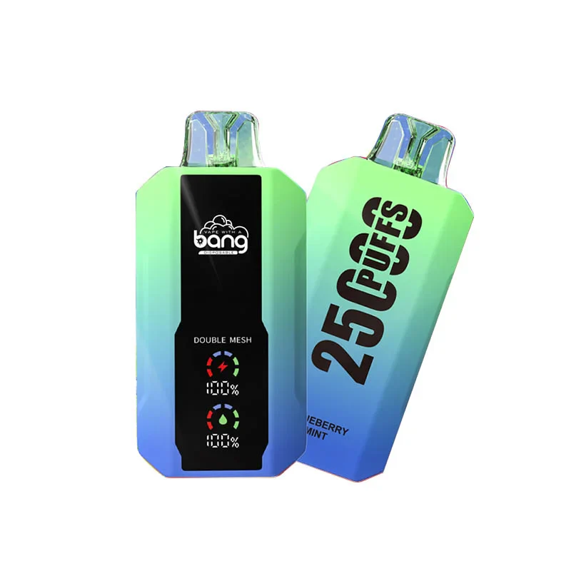 Bang 25000 Puffs Wiederaufladbares Einweg Kit (LED Display) - Image 5