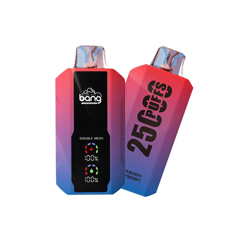 Bang 25000 Puffs Wiederaufladbares Einweg Kit (LED Display) - Image 6