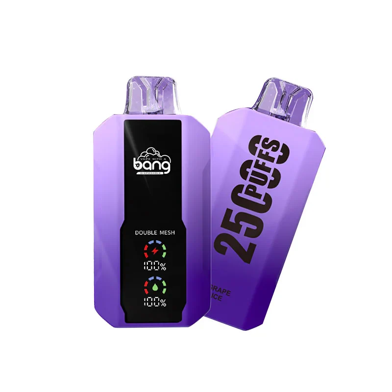 Bang 25000 Puffs Wiederaufladbares Einweg Kit (LED Display) - Image 7