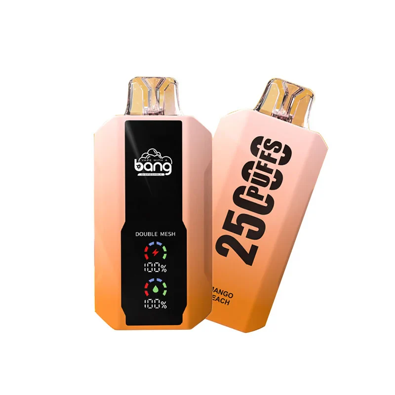 Bang 25000 Puffs Wiederaufladbares Einweg Kit (LED Display) - Image 8