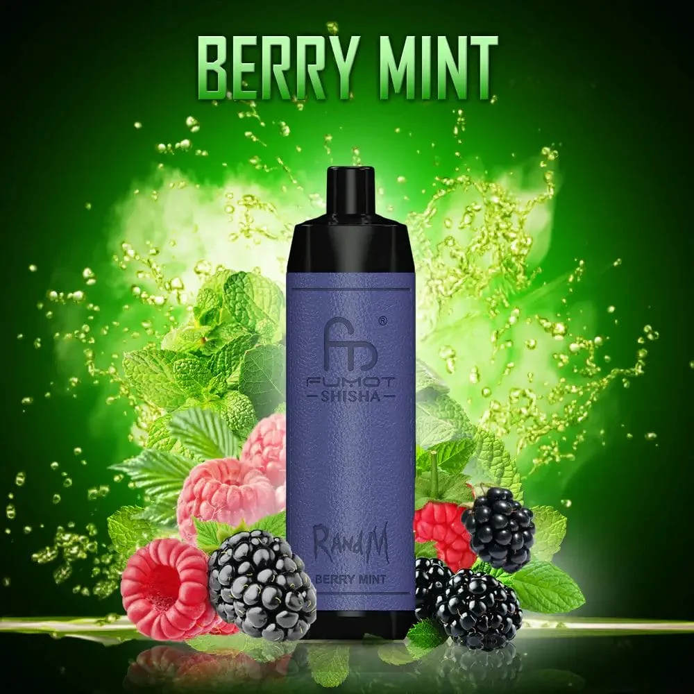 Fumot RandM Shisha 10000 DTL Wiederaufladbares Einweg Vape Kit- 💥 Nehme 5 Zahle NUR 4! + Ab einem Einkauf von 100€ 2 Mystery Gratis💥 - Image 4