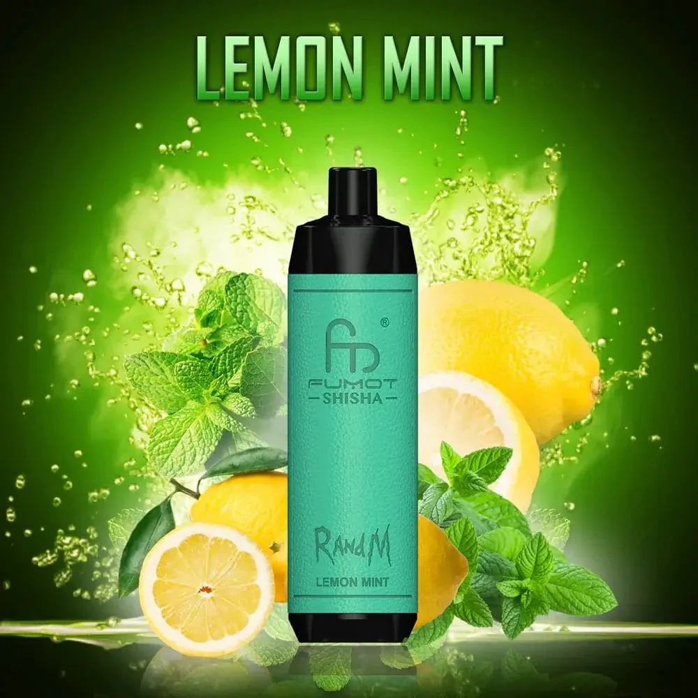 Fumot RandM Shisha 10000 DTL Wiederaufladbares Einweg Vape Kit- 💥 Nehme 5 Zahle NUR 4! + Ab einem Einkauf von 100€ 2 Mystery Gratis💥 - Image 8