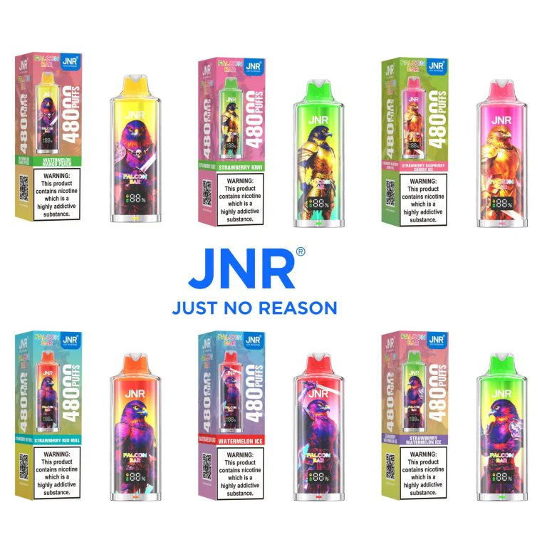 JNR Falcon Bar 48000 Puffs Wiederaufladbares Einweg Kit - 💥 Nehme 5 Zahle NUR 4! + Ab einem Einkauf von 100€ 2 Mystery Gratis💥 - Image 2