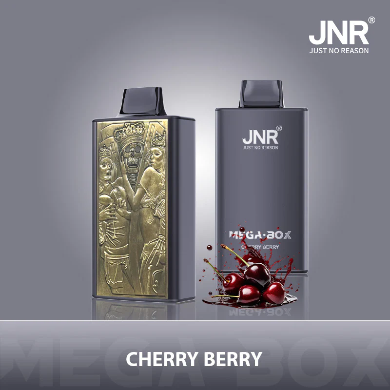 JNR Mega Box 25000 Puffs Einweg Kit - 💥 BLACK Friday WEEK - Nehme 4 Zahle NUR 3! + Ab einem Einkauf von 100€ 1 Mystery Vapes Gratis + Ab einem Einkauf von 150€ 2 Mystery Vapes Gratis 💥 - Image 4