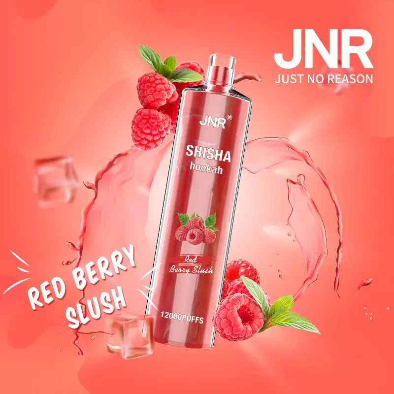 JNR Shisha Hookah 12000 Puffs DTL Wiederaufladbarer Einweg Vape - 📢EXKLUSIVES ANGEBOT - Nehme 4 Zahle NUR 3! + Kostenloser Versand ab einem Bestellwert von €150 📢 - Image 13