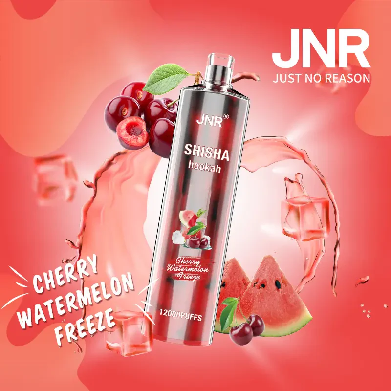 JNR Shisha Hookah 12000 Puffs DTL Wiederaufladbarer Einweg Vape - 📢EXKLUSIVES ANGEBOT - Nehme 4 Zahle NUR 3! + Kostenloser Versand ab einem Bestellwert von €150 📢 - Image 5