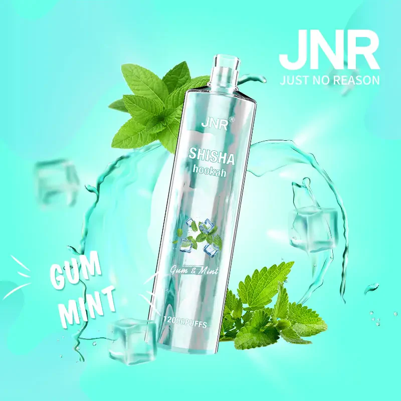 JNR Shisha Hookah 12000 Puffs DTL Wiederaufladbarer Einweg Vape - 📢EXKLUSIVES ANGEBOT - Nehme 4 Zahle NUR 3! + Kostenloser Versand ab einem Bestellwert von €150 📢 - Image 7