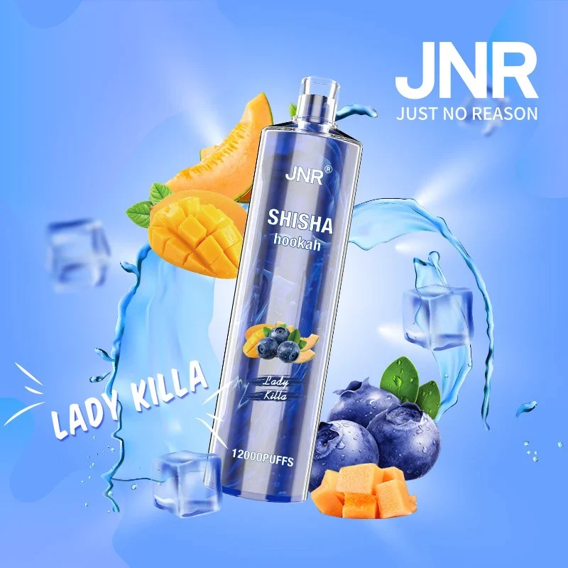 JNR Shisha Hookah 12000 Puffs DTL Wiederaufladbarer Einweg Vape - 📢EXKLUSIVES ANGEBOT - Nehme 4 Zahle NUR 3! + Kostenloser Versand ab einem Bestellwert von €150 📢 - Image 9