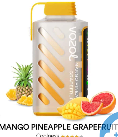 [Clearance Sale] VOZOL Gear Power 20000 Wiederaufladbares Einweg Kit (LED-Anzeige) - 💥 Nehme 4 Zahle NUR 3! + Ab einem Einkauf von 100€ 2 Mystery Gratis💥 - Image 15