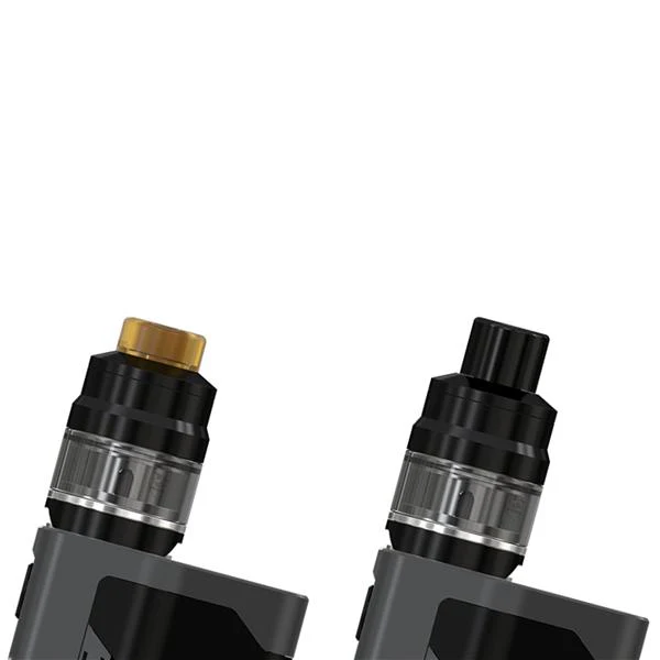 WISMEC RX GEN3 300W TC Kit mit GNOME Verdampfer - 4ml - Image 15