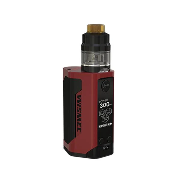 WISMEC RX GEN3 300W TC Kit mit GNOME Verdampfer - 4ml - Image 3